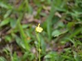 Tn 342 DSC 8363